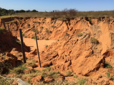 Viver Plan MT - Assessoria, Consultoria e Planejamento Ambiental